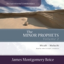 The Minor Prophets: An Expositional Commentary, Volume 2 - eAudiobook