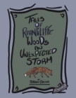 Tales of Raincliffe Woods : An Unexpected Storm - eBook