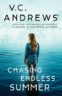 Chasing Endless Summer - eBook
