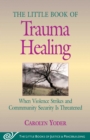 Little Book of Trauma Healing : When Violence Striked And Community Security Is Threatened - eBook