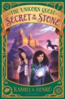 Secret in the Stone - eBook