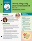 Creating a Regulating Classroom Environment : A Guide for Trauma-Sensitive Educators - eBook