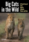Big Cats in The Wild : A Visual Essay of Lions, Jaguars, Leopards, Pumas, and More - eBook