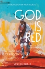 God Is Red : A Native View of Religion - eBook
