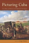 Picturing Cuba : Art, Culture, and Identity on the Island and in the Diaspora - Book