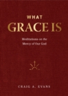 What Grace Is : Meditations on the Mercy of Our God - eBook