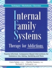 Internal Family Systems Therapy for Addictions : Trauma-Informed, Compassion-Based Interventions for Substance Use, Eating, Gambling and More - Book