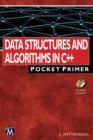 Data Structures and Algorithms in C++ : Pocket Primer - Book