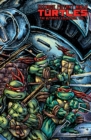 Teenage Mutant Ninja Turtles: The Ultimate Collection Volume 7 - Book