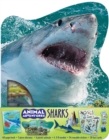 Animal Adventures: Sharks - Book