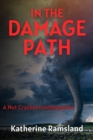 In the Damage Path : The Nut Cracker Investigations - eBook