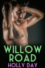 Willow Road - eBook