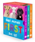 Baby Animals First Box Set: 123, ABC, Colors - Book