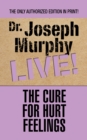 The Cure for Hurt Feelings - eBook