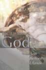 Picturing God - eBook