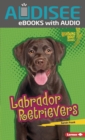 Labrador Retrievers - eBook