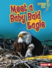 Meet a Baby Bald Eagle - eBook