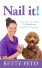 Nail it! - eBook