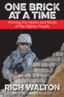 One Brick at a Time - eBook