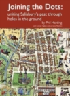 Joining the Dots : uniting Salisbury's past through holes in the ground - Book