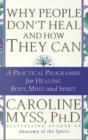 Why People Don't Heal & How They Can : A Practical Programme for Healing Body, Mind and Spirit - eBook