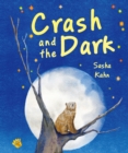 Crash and the Dark - Book