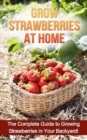 Grow Strawberries at Home : The complete guide to growing strawberries in your backyard! - eBook