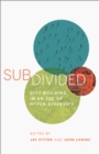 Subdivided : City-Building in an Age of Hyper-Diversity - eBook