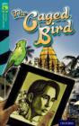 Oxford Reading Tree TreeTops Graphic Novels: Level 16: The Caged Bird - Book