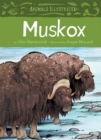 Animals Illustrated: Muskox - Book