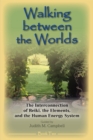 Walking Between the Worlds - Book II : The Interconnection of Reiki, the Elements, and the Human Energy System - eBook