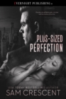 Plus-Sized Perfection - eBook