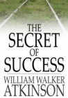 The Secret Of Success - eBook