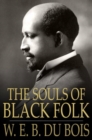 The Souls of Black Folk : Essays and Sketches - eBook