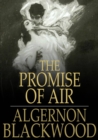 The Promise of Air - eBook