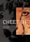 Cheetah - eBook