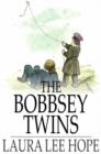 The Bobbsey Twins : Or, Merry Days Indoors and Out - eBook