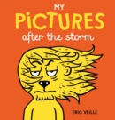My Pictures After the Storm - Book