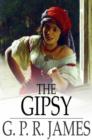 The Gipsy : A Tale - eBook