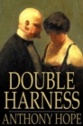 Double Harness - eBook