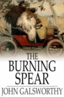The Burning Spear - eBook