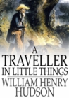 A Traveller in Little Things - eBook