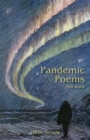 Pandemic Poems : First Wave - eBook