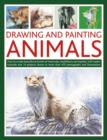 Drawing and Painting Animals - Book