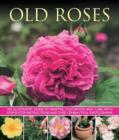 Old Fashioned Roses - Book
