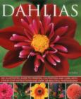Dahlias - Book