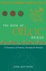 Book of Celtic Verse - eBook