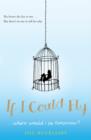 If I Could Fly - eBook