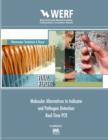 Molecular Alternatives to Indicator and Pathogen Detection - eBook