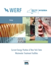 Current Energy Position of New York State Wastewater Treatment Facilities - eBook